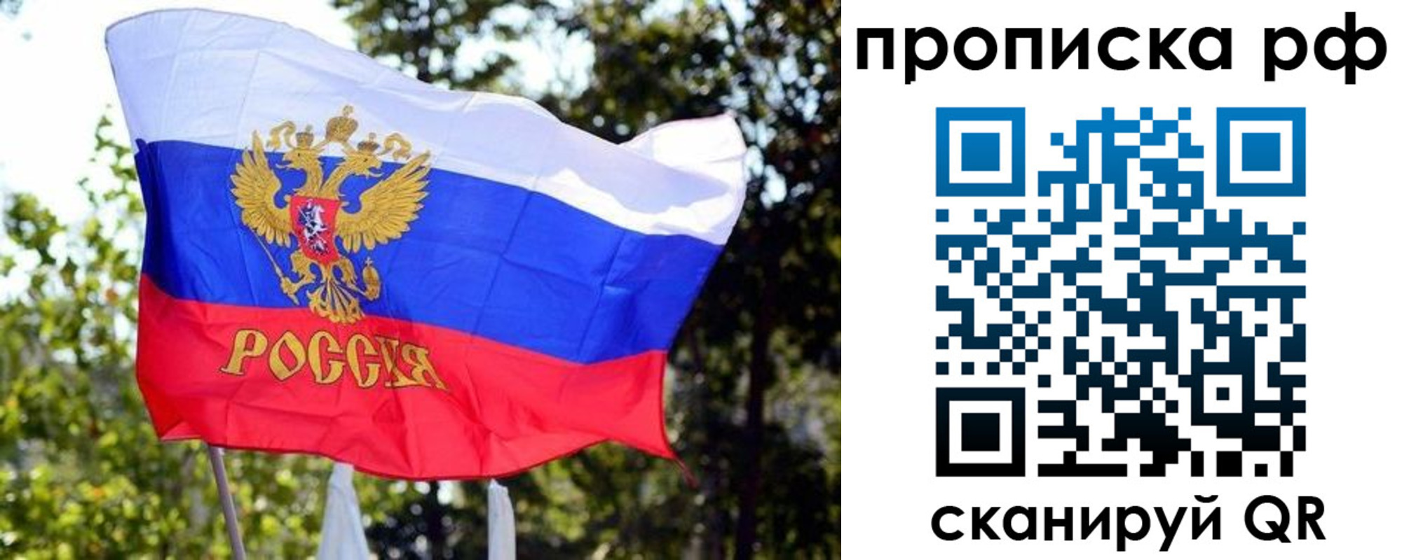 временная регистрация надежно в Волгоградской области